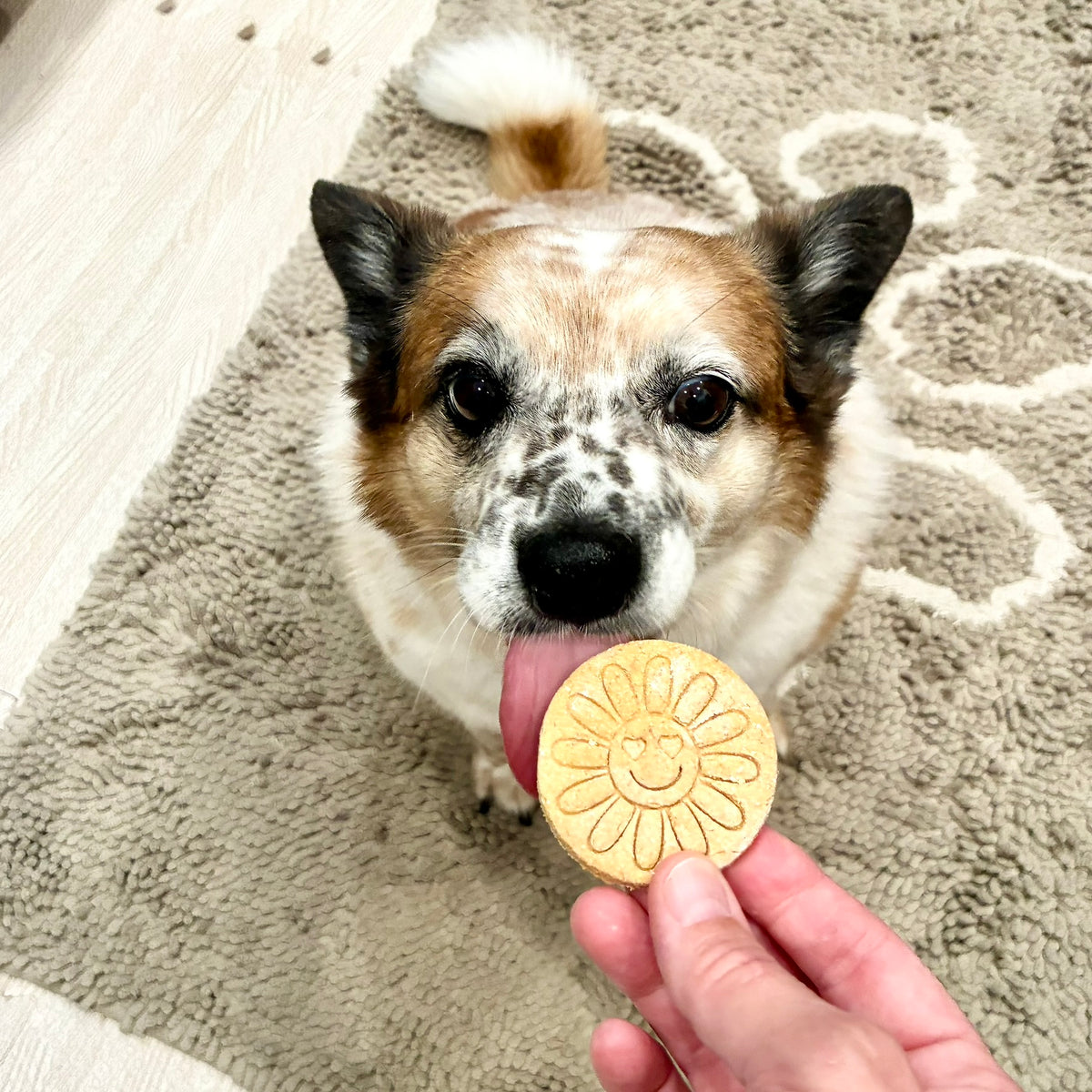 Peace Love Banana Biscuits