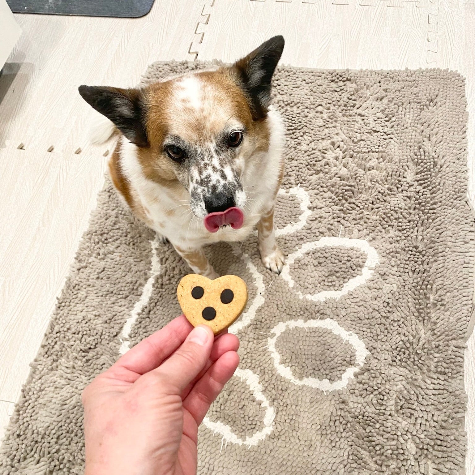 Carob Chip Cookies