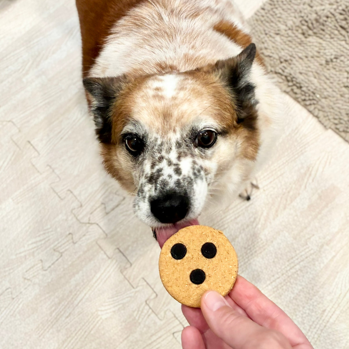 Carob Chip Cookies
