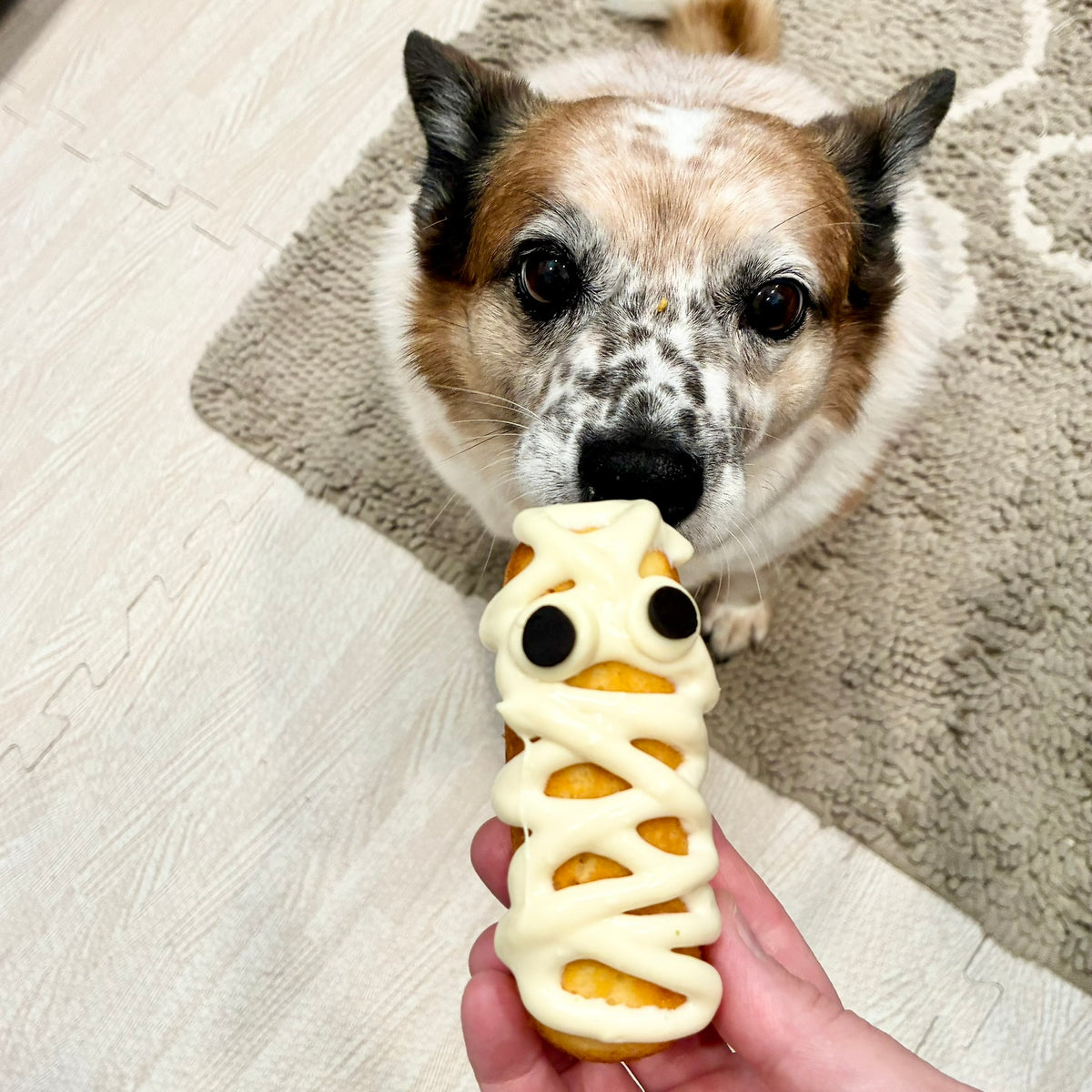 Howl-o-ween Bake Sale