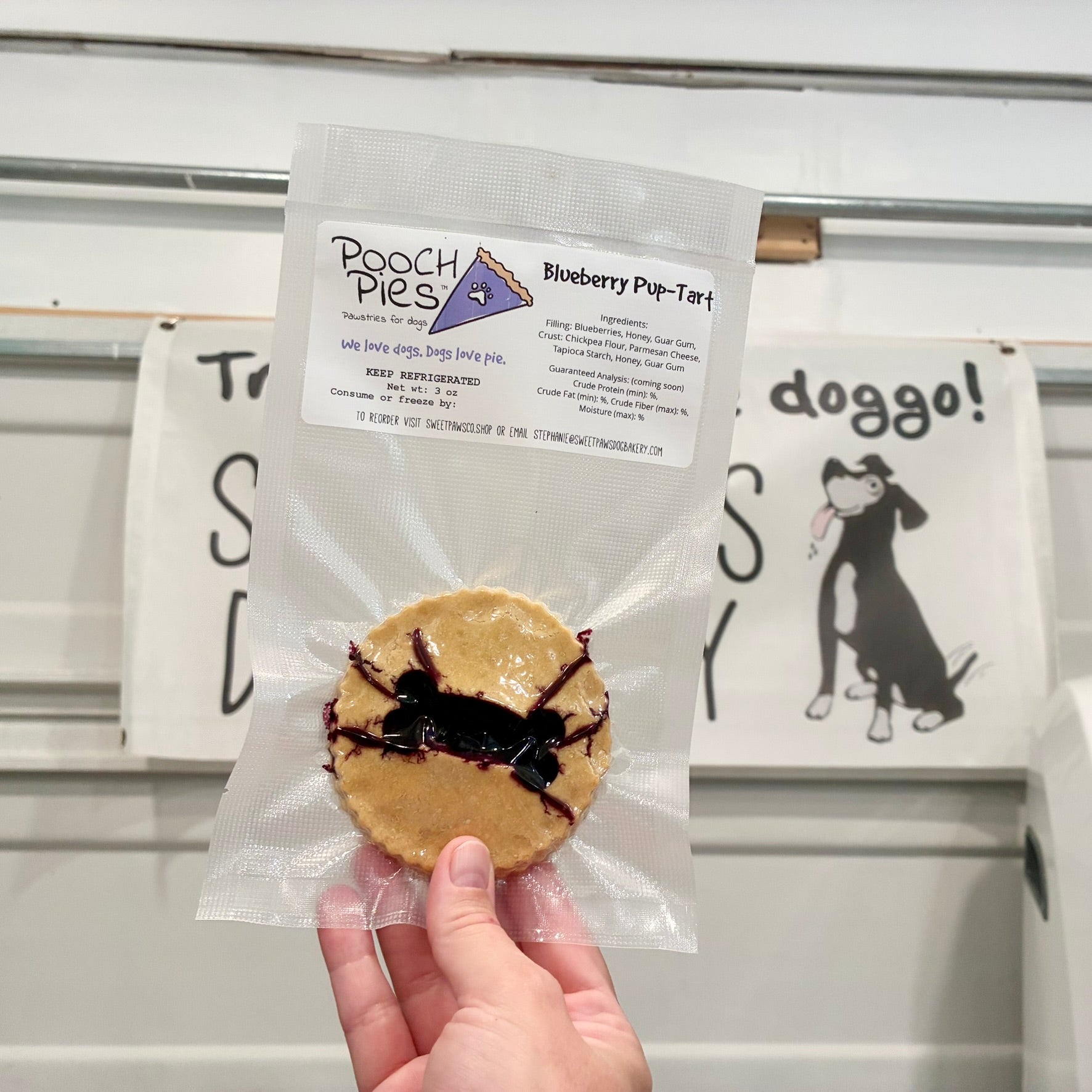Blueberry Pup-Tart