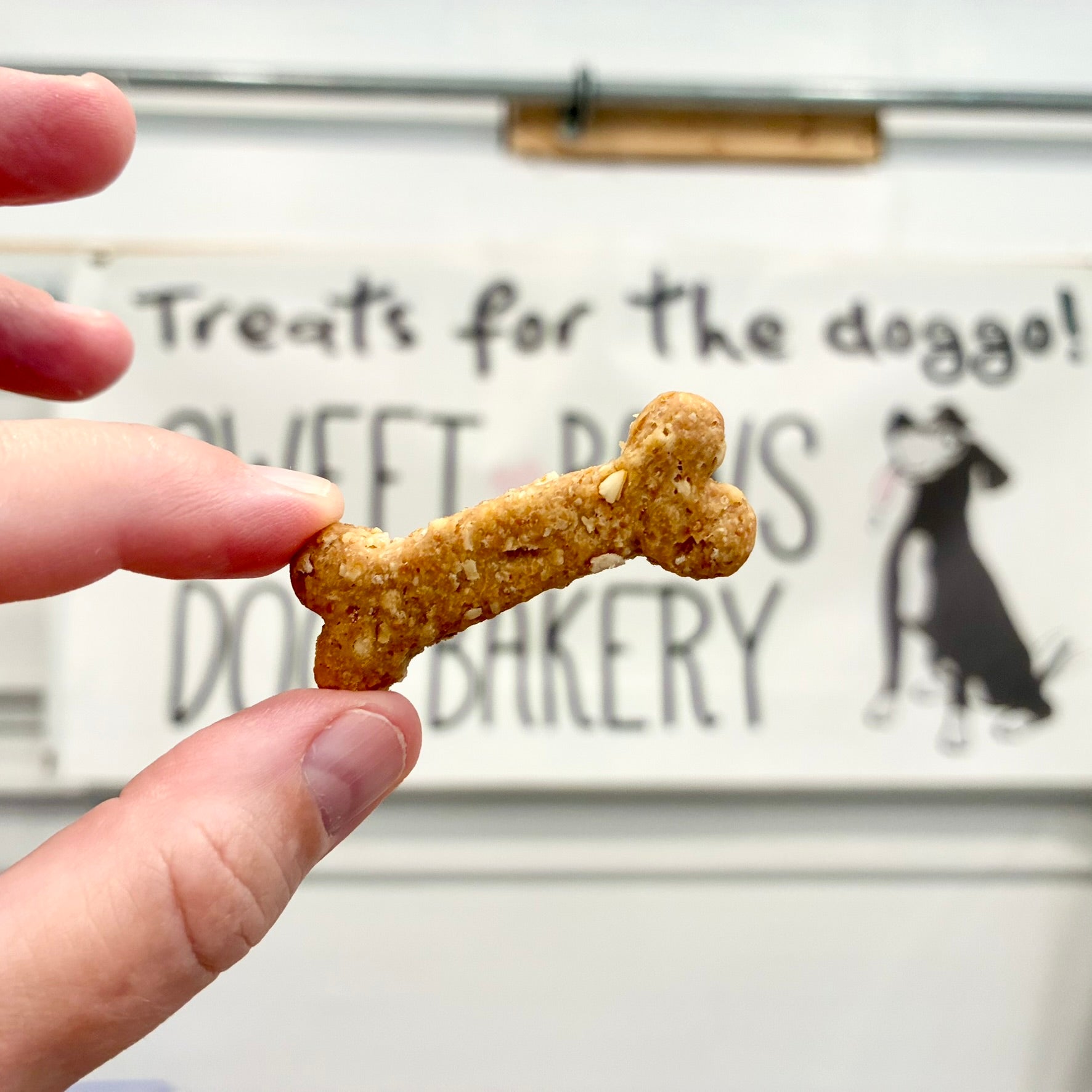 Peanut Butter Oatmeal Biscuits