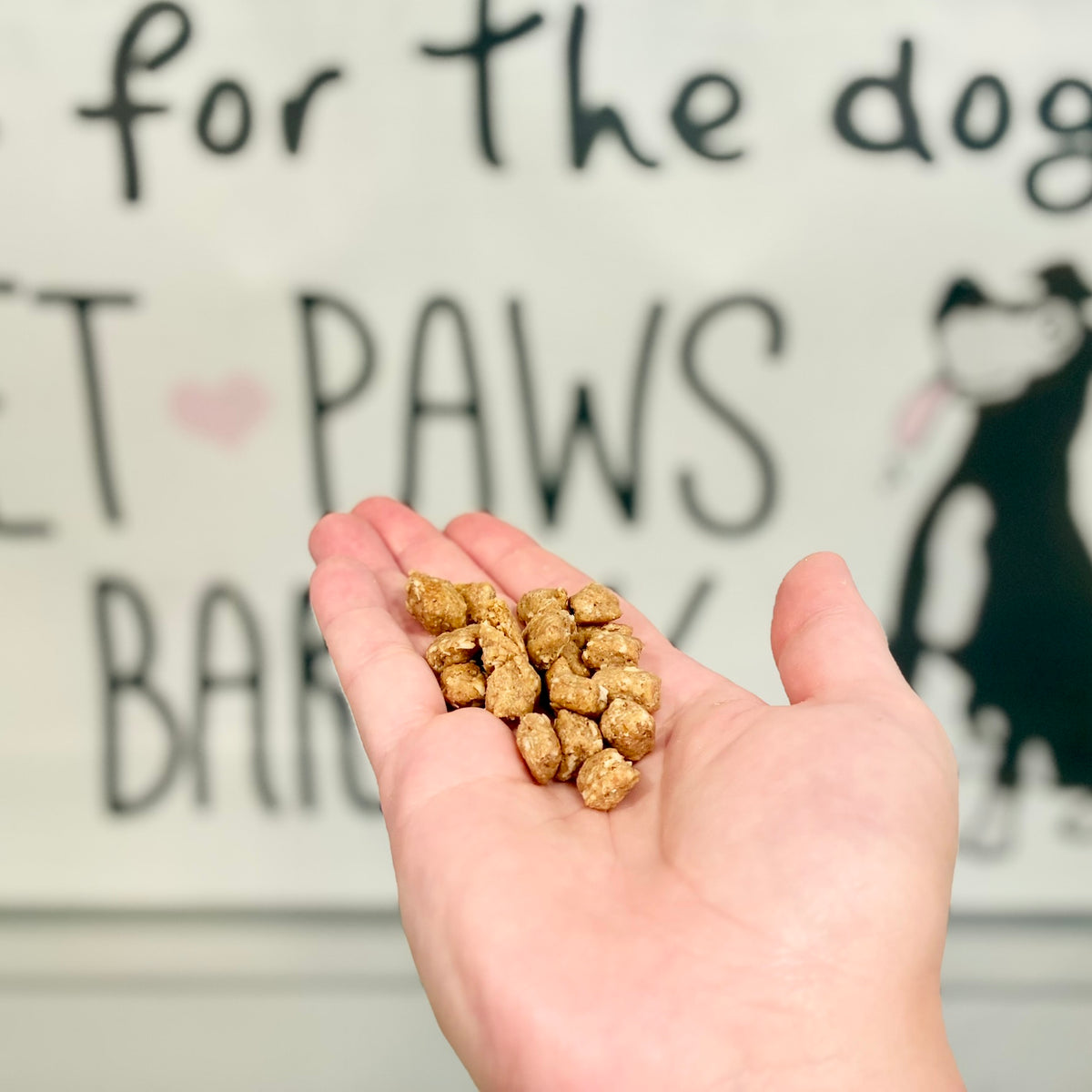 Peanut Butter Oatmeal Training Treats
