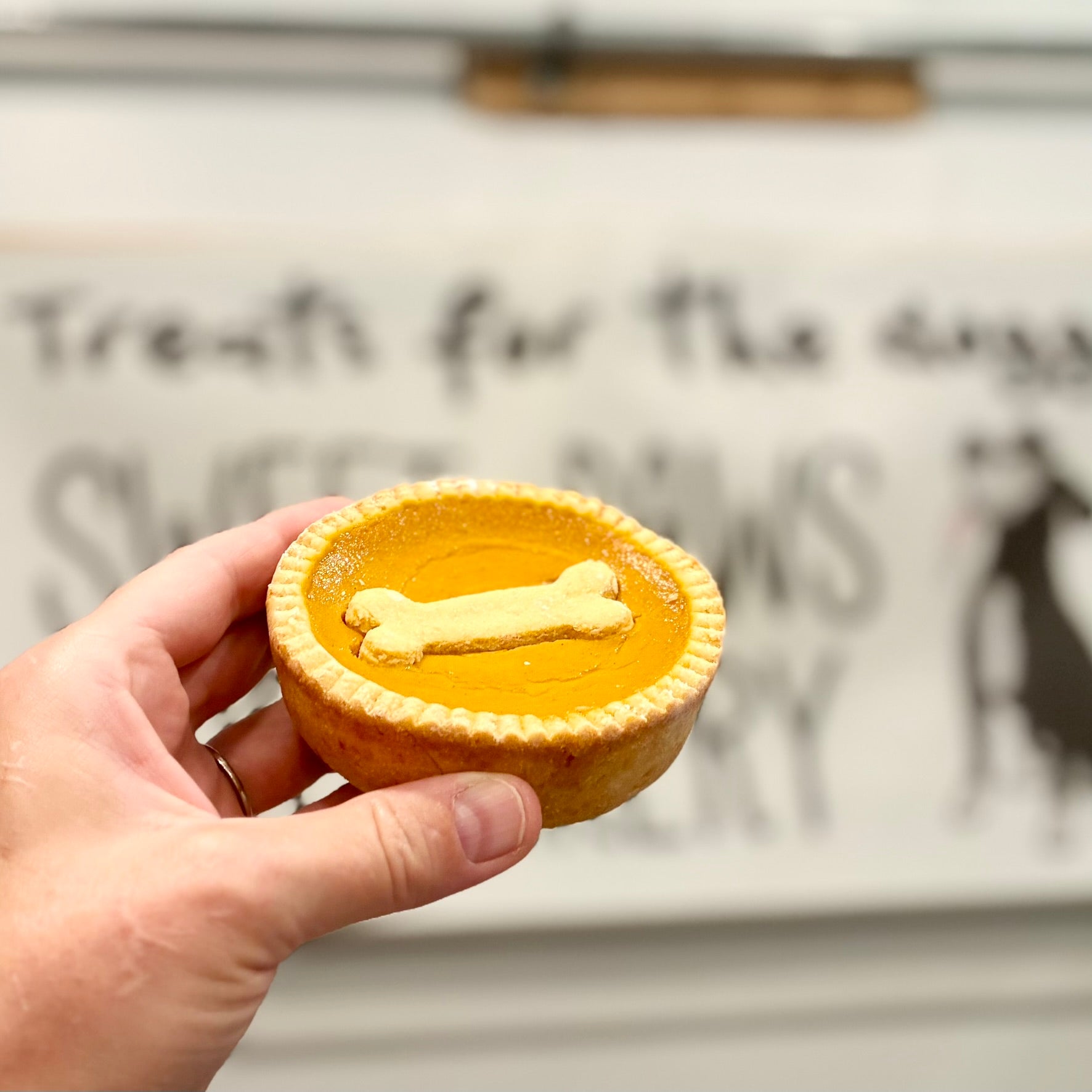 Pumpkin Pooch Pie