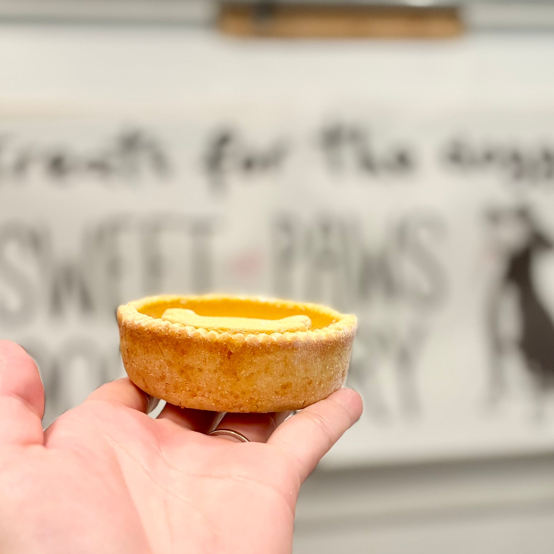Pumpkin Pooch Pie