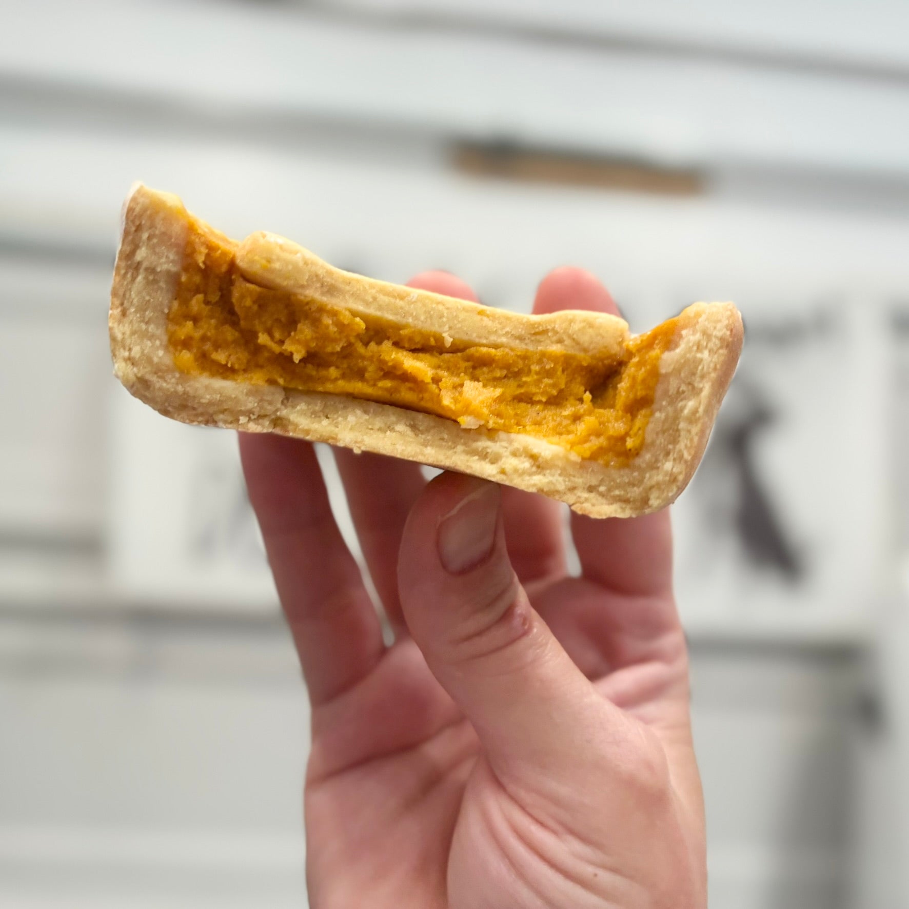 Pumpkin Pooch Pie