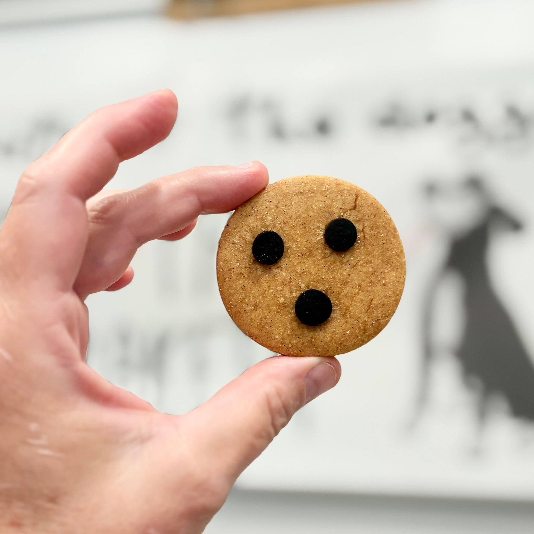 Carob Chip Cookies